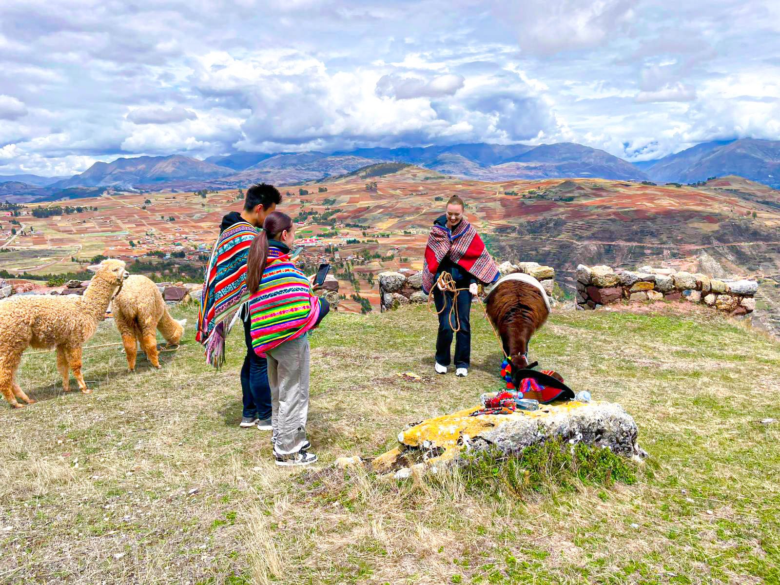 Paseo de Llamas + Maras, Moray