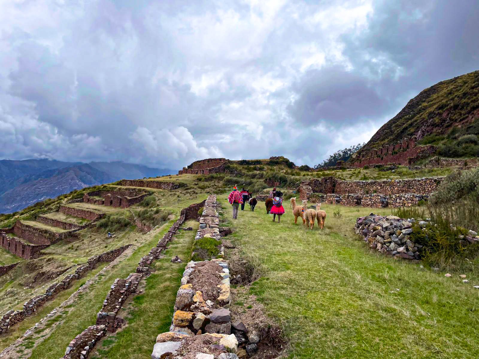 Paseo con Llamas + Pachamanca Andina + Agroturismo